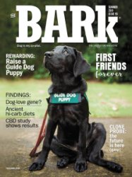 The Bark - Summer 2019