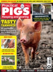 Practical Pigs - Summer 2021