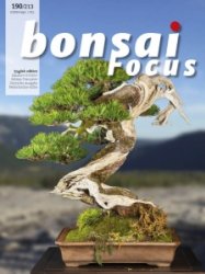 Bonsai Focus - 09/10 2024