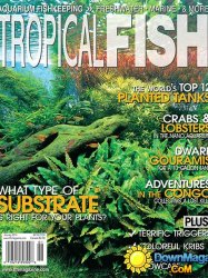 Tropical Fish Hobbyist - January 2014