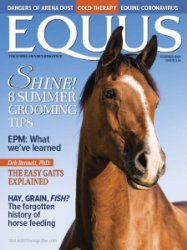 Equus - Summer 2023