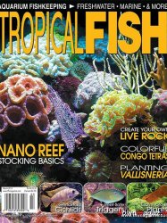 Tropical Fish Hobbyist - March 2013