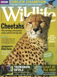 BBC Wildlife - 05.2018