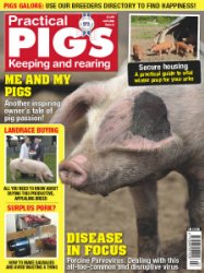 Practical Pigs - Autumn 2018