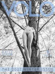 VOLO - 12.2017