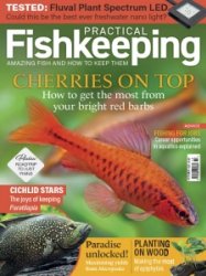 Practical Fishkeeping - 10.2023