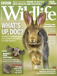 BBC Wildlife - 09.2018