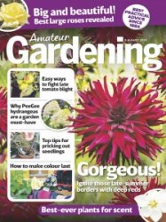 Amateur Gardening - 8.08.2020