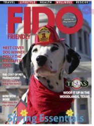 FIDO Friendly - Spring 2023