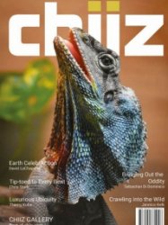 Chiiz - Vol. 35