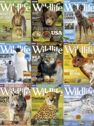 BBC Wildlife - 2018 FullYear