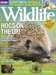 BBC Wildlife - 04.2018