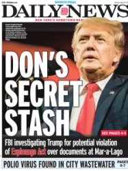 New York Daily News 08.13 2022