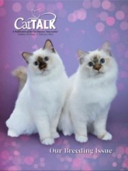 Cat Talk - 02.2023