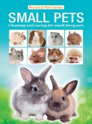 Small Pets 2024