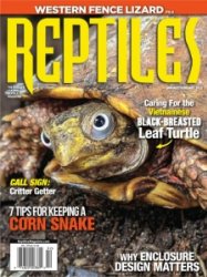 Reptiles - 01/02 2022