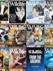 BBC Wildlife - 2011 Full Year