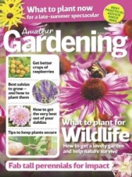 Amateur Gardening - 4.07.2020