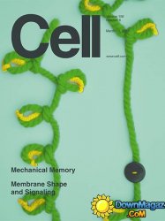 Cell - 13 March 2014