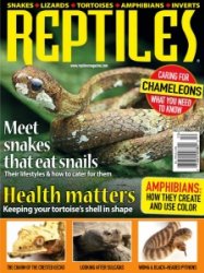 Reptiles - 09/10 2020