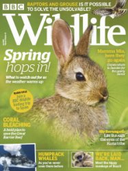 BBC Wildlife - 04.2019