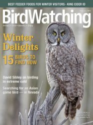 BirdWatching - 01/02 2019