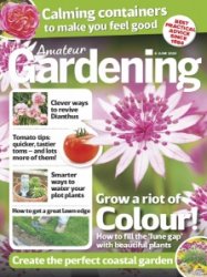 Amateur Gardening - 6.06.2020