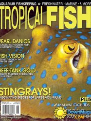 Tropical Fish Hobbyist - September 2014