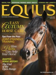 Equus - Fall 2019