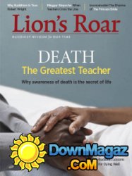 Lion's Roar - 11.2017