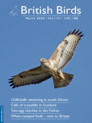 British Birds - 03.2020