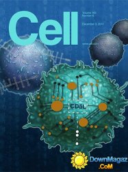 Cell USA - 3 December 2015