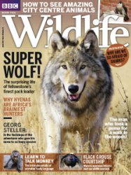 BBC Wildlife - 03.2018