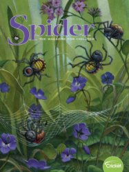 Spider - 09.2019