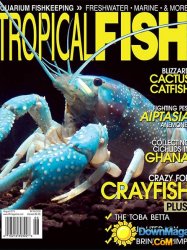 Tropical Fish Hobbyist USA - August 2015