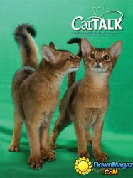 Cat Talk - February 2016