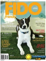 FIDO Friendly - Summer 2013