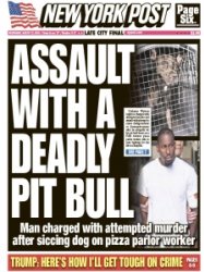 New York Post - 08.21.2024