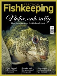 Practical Fishkeeping - 12.2022