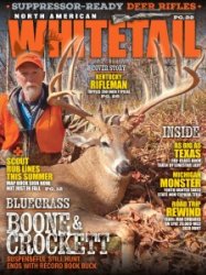 North American Whitetail - 06.2024