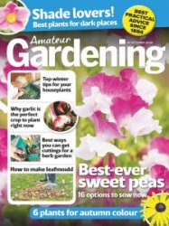 Amateur Gardening - 10.10.2020