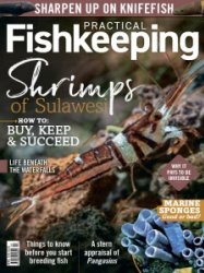 Practical Fishkeeping - 04.2022