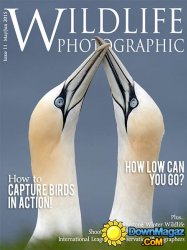 Wildlife Photographic - May/June 2015