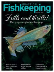 Practical Fishkeeping - 01.2023