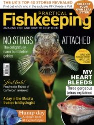 Practical Fishkeeping - 12.2023