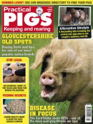 Practical Pigs - Summer 2018