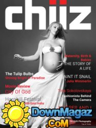 Chiiz - Volume 2 2017